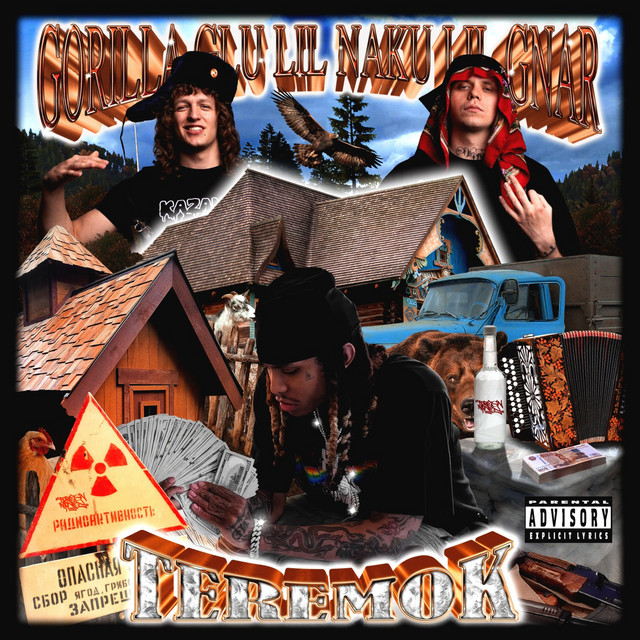 'TEREMOK' cover art