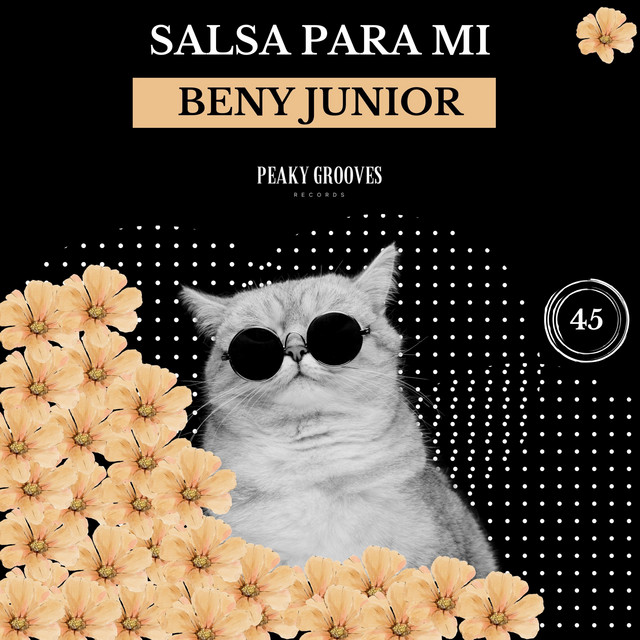 'Salsa Para Mi' cover art