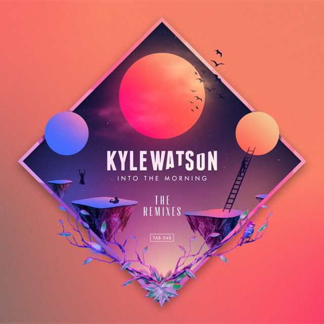 'Into The Morning - The Remixes' cover art