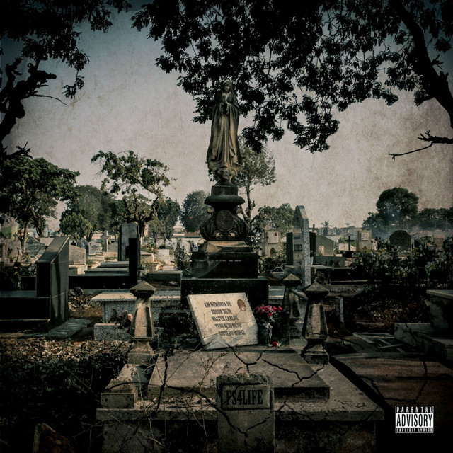 'FS4Life' cover art