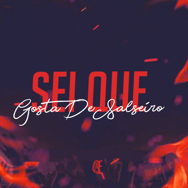 'Sei Que Gosta De Salseiro' cover art