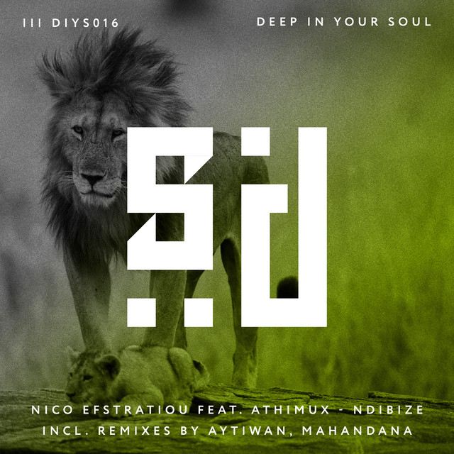 'Ndibize (Mahandana Remix)' cover art