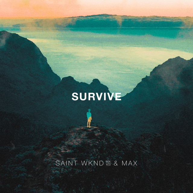 'Survive (SAINT WKND & MAX)' cover art