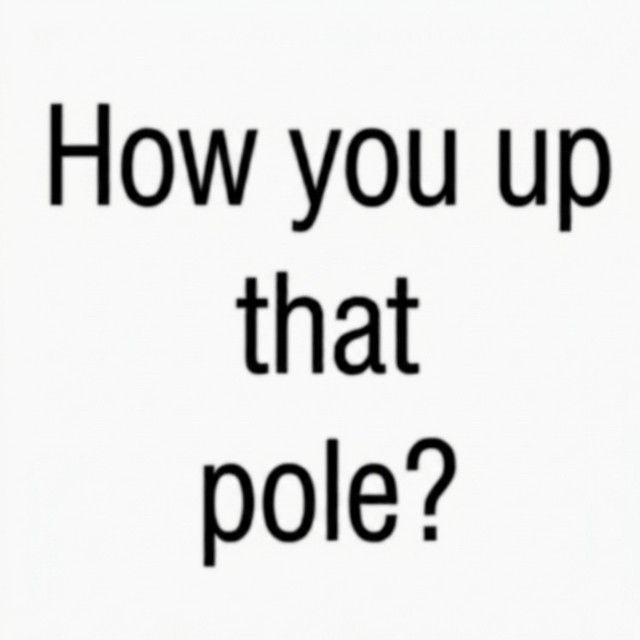 'How you up that pole?' cover art