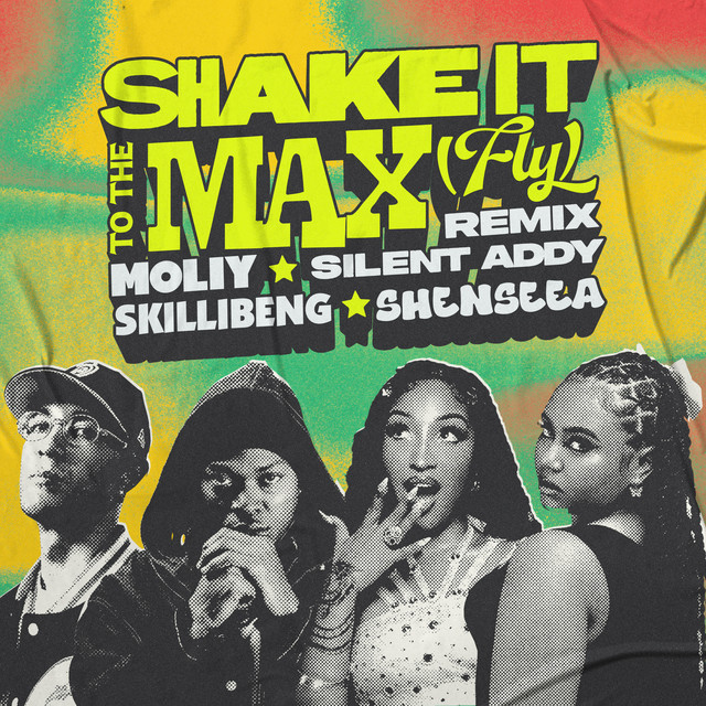 'SHAKE IT TO THE MAX (FLY) (REMIX)' cover art