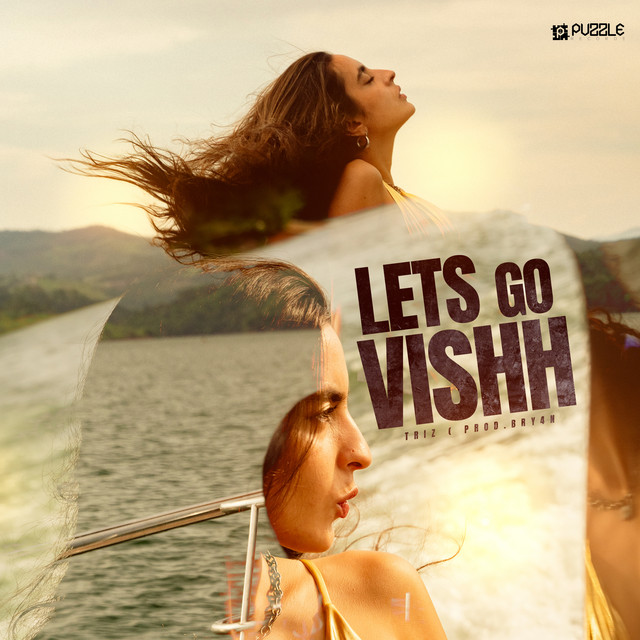 'Lets Go Vishh' cover art