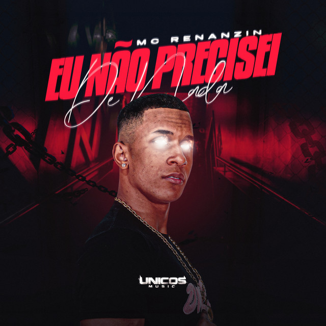 'Eu Não Precisei de Nada' cover art