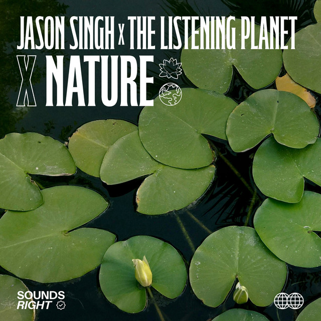 'Nature's Voice II' cover art
