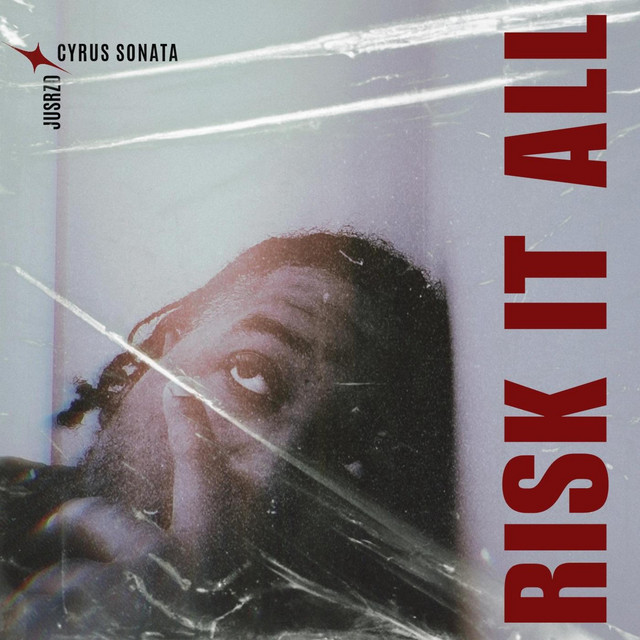 'Risk It All' cover art