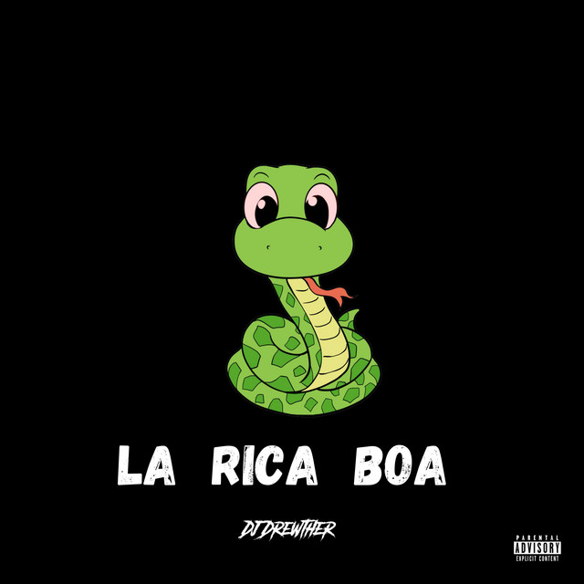 'La Rica Boa (Cumbiaton Y Perreo)' cover art