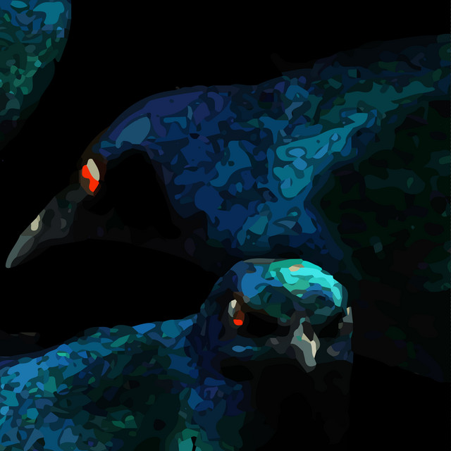 'Midori' cover art