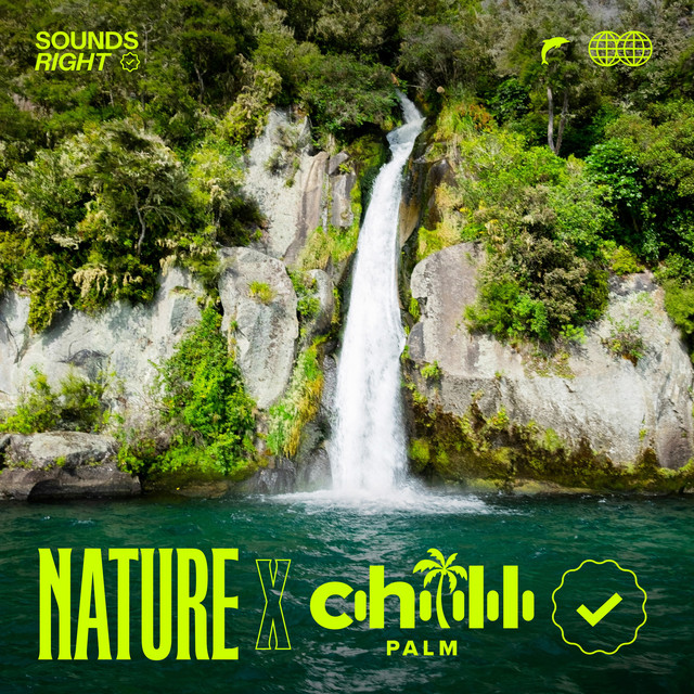 'Calming Waterfalls' cover art