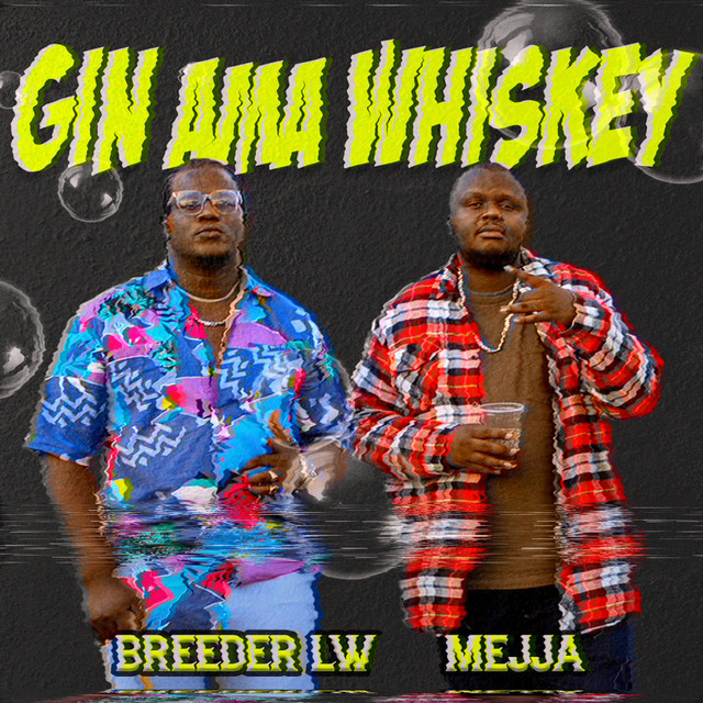 'Gin Ama Whiskey' cover art