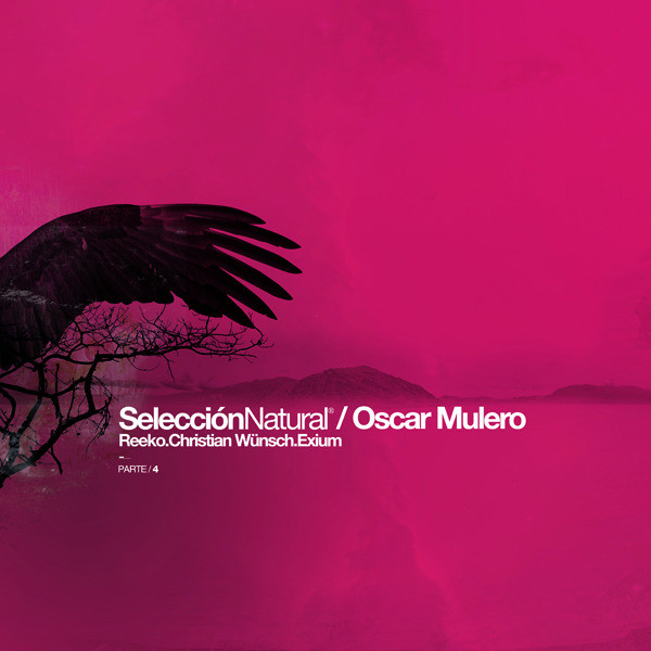 'Seleccion Natural Parte 4' cover art
