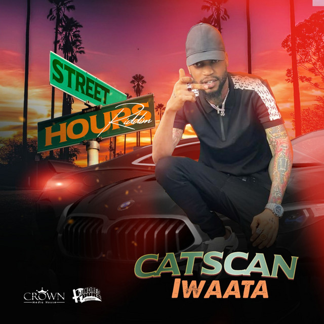 'Catscan' cover art