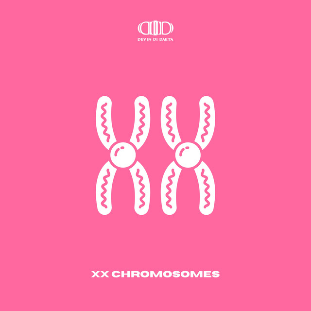 'XX Chromosomes' cover art