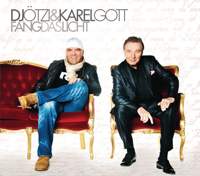'Fang das Licht' cover art