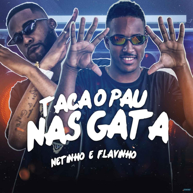 'Taca o Pau nas Gata' cover art