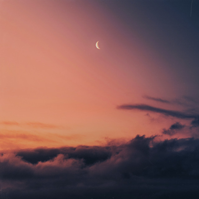 'moonlit dreams' cover art