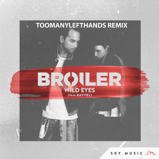 'Wild Eyes (TooManyLeftHands Remix)' cover art