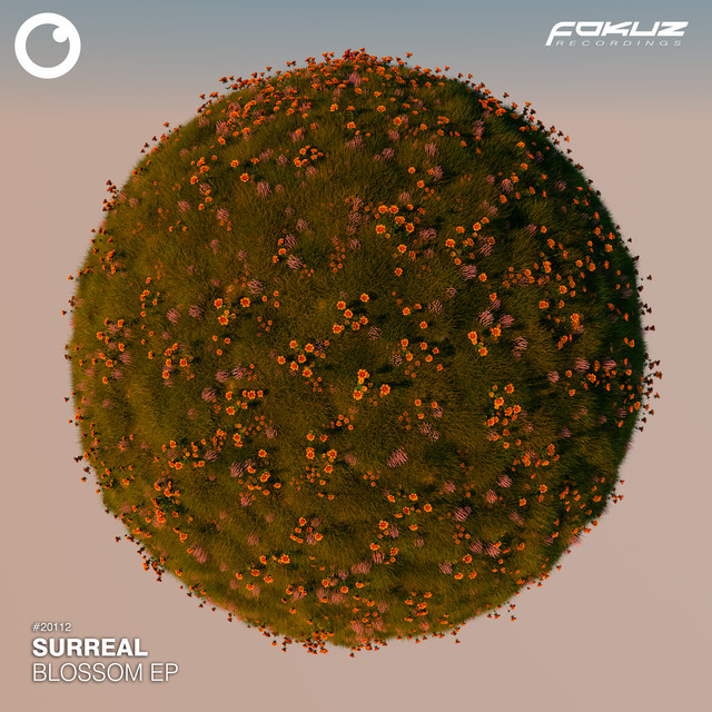 'Blossom EP' cover art