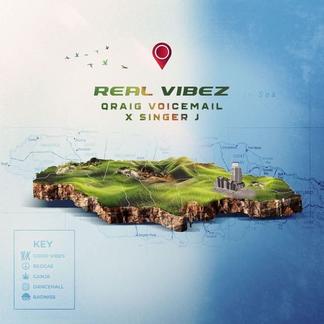 'Real Vibez' cover art