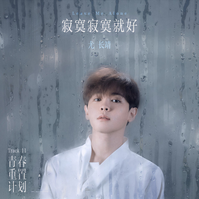 '寂寞寂寞就好' cover art