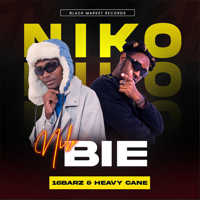 'Niko Bie' cover art