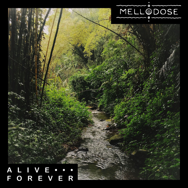 'Alive Forever' cover art