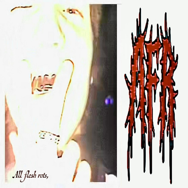 'ALL FLESH ROTS' cover art