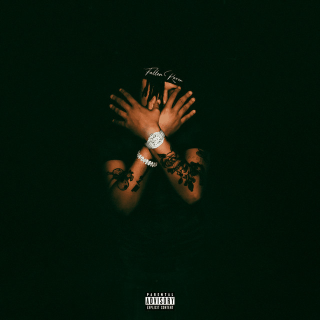 'FALLEN RAVEN' cover art