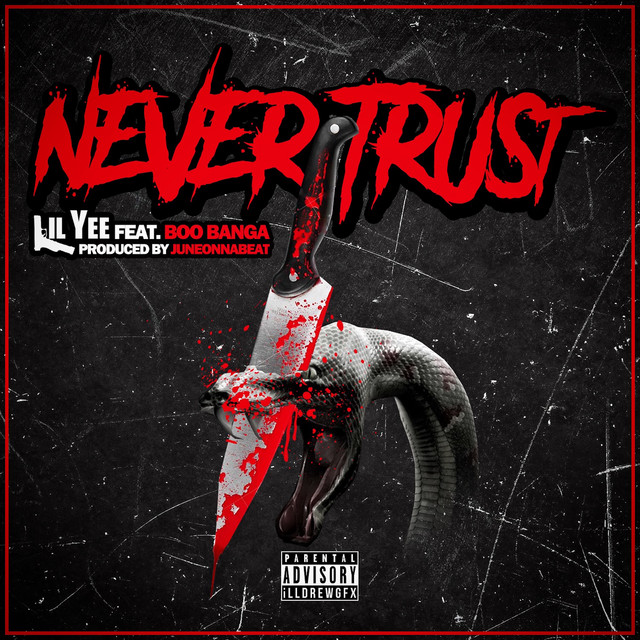 'Never Trust' cover art