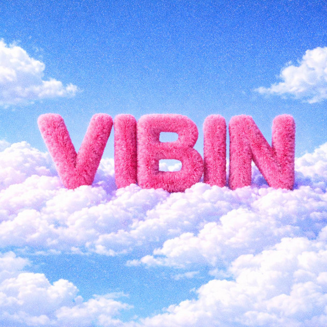'VIBIN' cover art