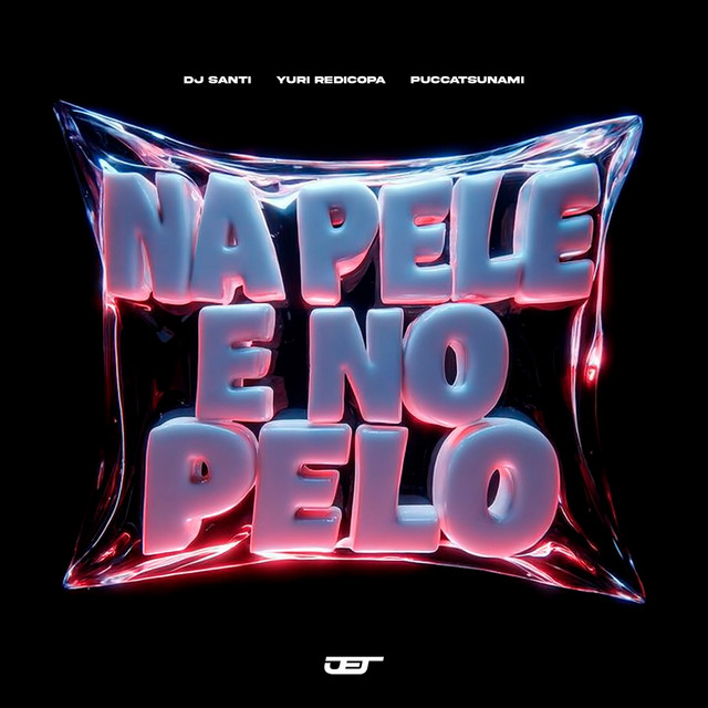 'NA PELE E NO PELO' cover art