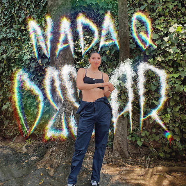 'Nada Que Desear' cover art