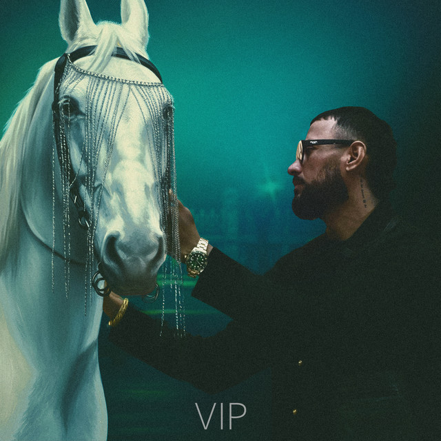 'VIP' cover art