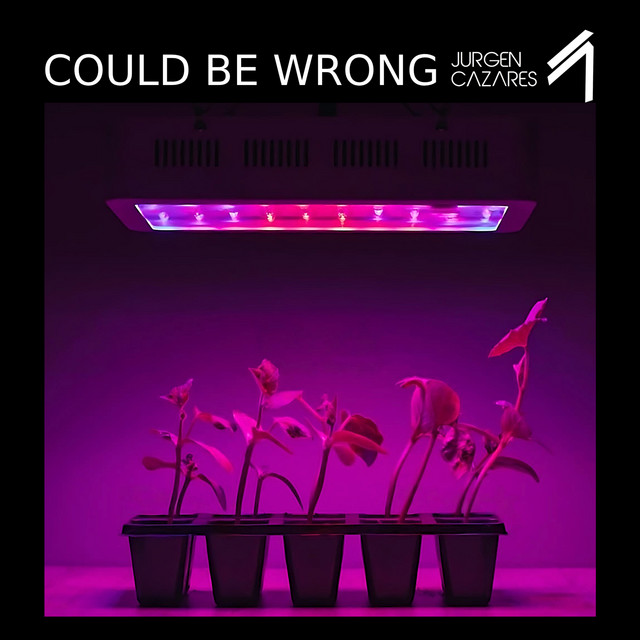 'Could Be Wrong' cover art