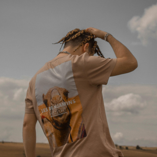 'Hamdsolun' cover art