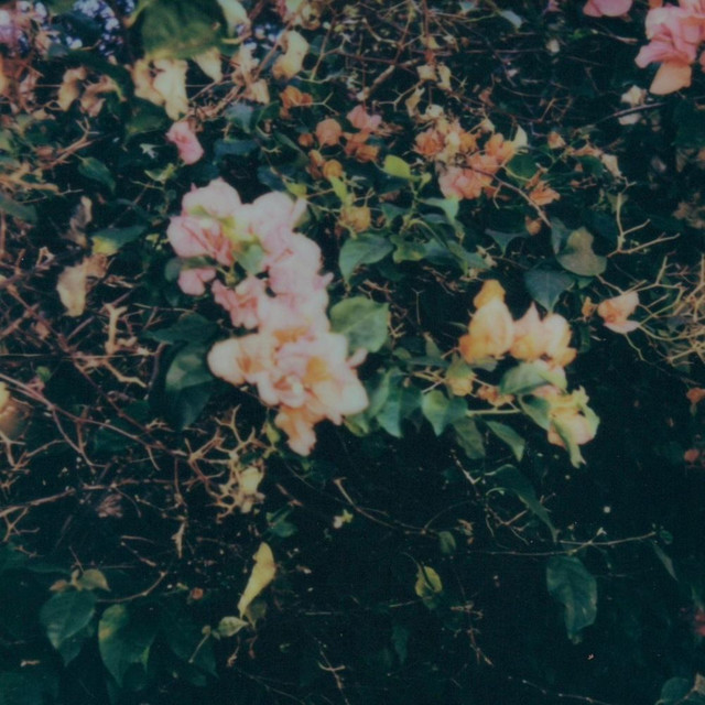 'again' cover art