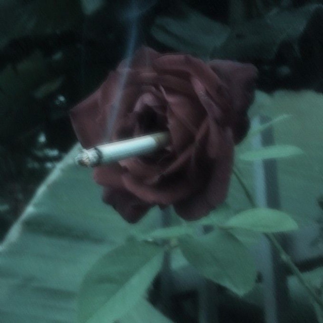'one dance (sped up)' cover art
