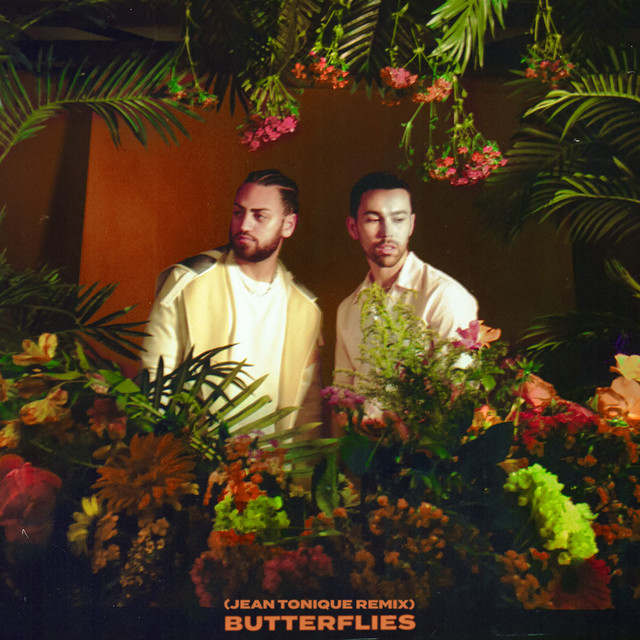 'Butterflies (Jean Tonique Remix)' cover art