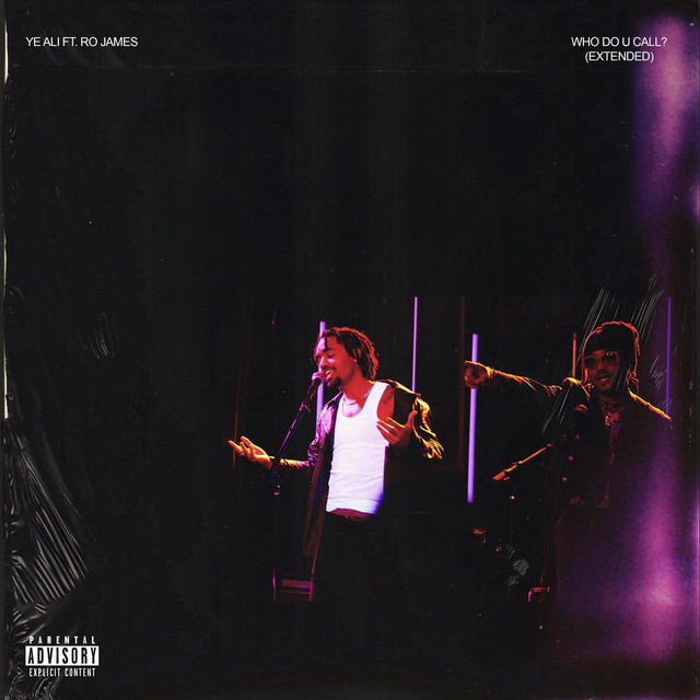 'Who Do You Call (Extended Version)' cover art