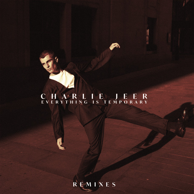 'Everything Is Temporary (Remixes)' cover art