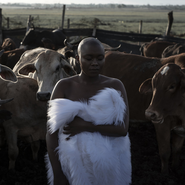 'INGANEKWANE' cover art