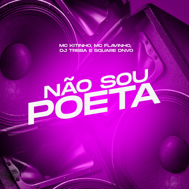 'Não Sou Poeta' cover art
