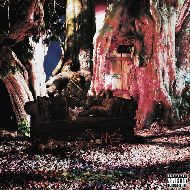 'Bones' cover art