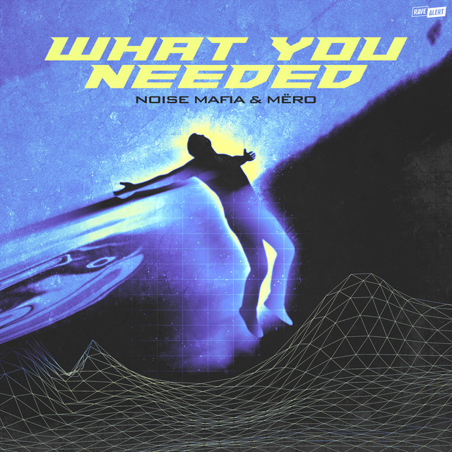 'What You Needed' cover art