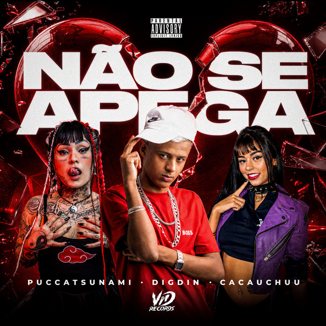 'NÃO SE APEGA' cover art
