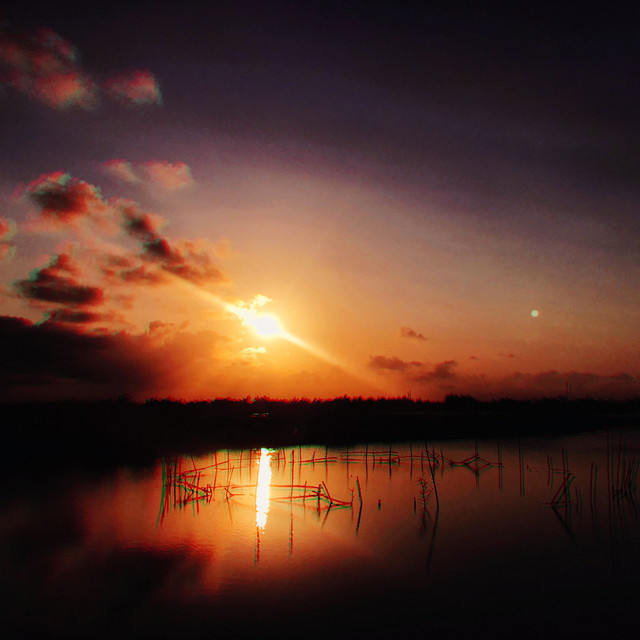 'Sleepy Sunset' cover art