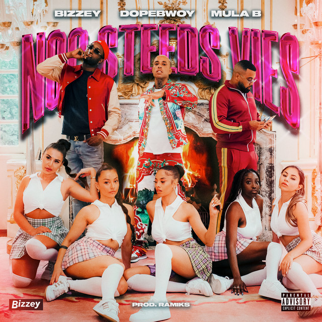'Nog Steeds Vies' cover art